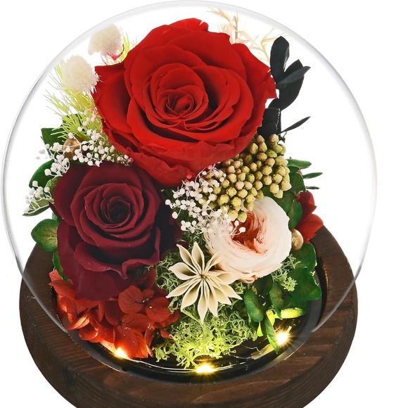 Preserved Rose Dome with Light - Picture 1 of 6